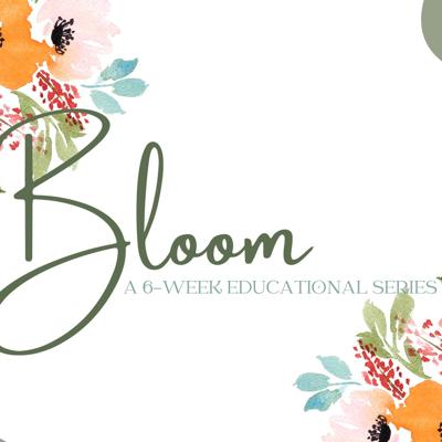 Bloom Pregnancy & Parenting Classes